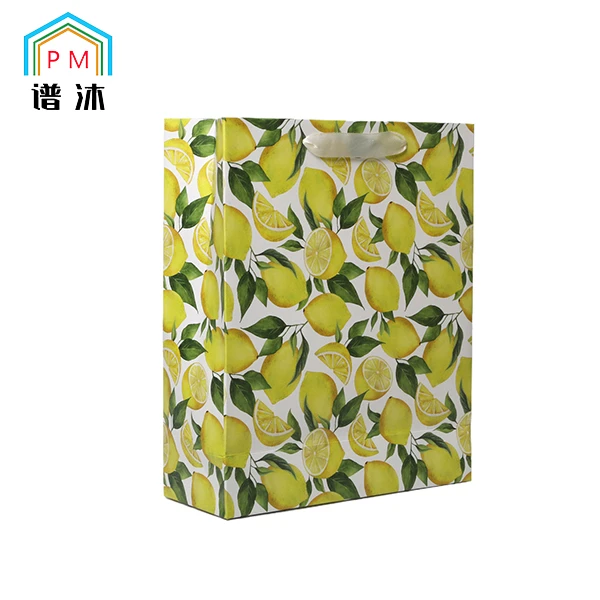 Eco Friendly Paper Shopping Bags